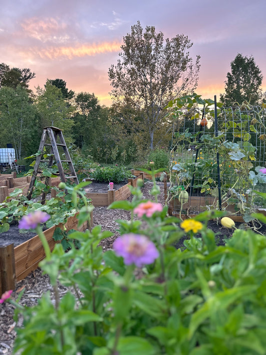 There is still time to plant your garden!