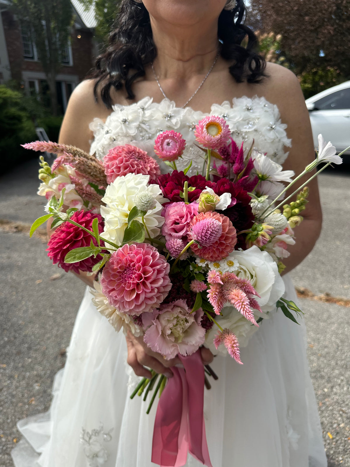 Boom Boom White- Dahlia Tuber
