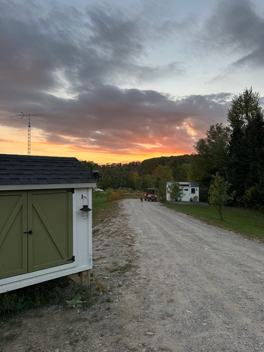 5 Things I love about our self serve farm stand