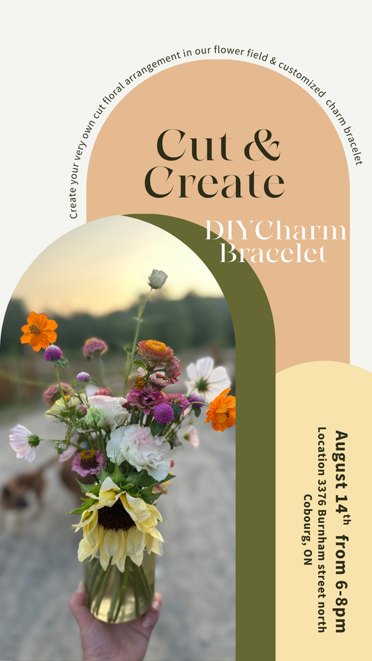 Cut & Create - August