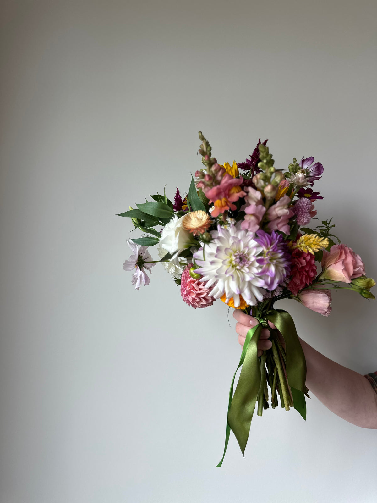 Miranda Mikayla- Dahlia Tuber