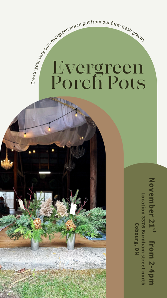 Porch Pot Workshop- November