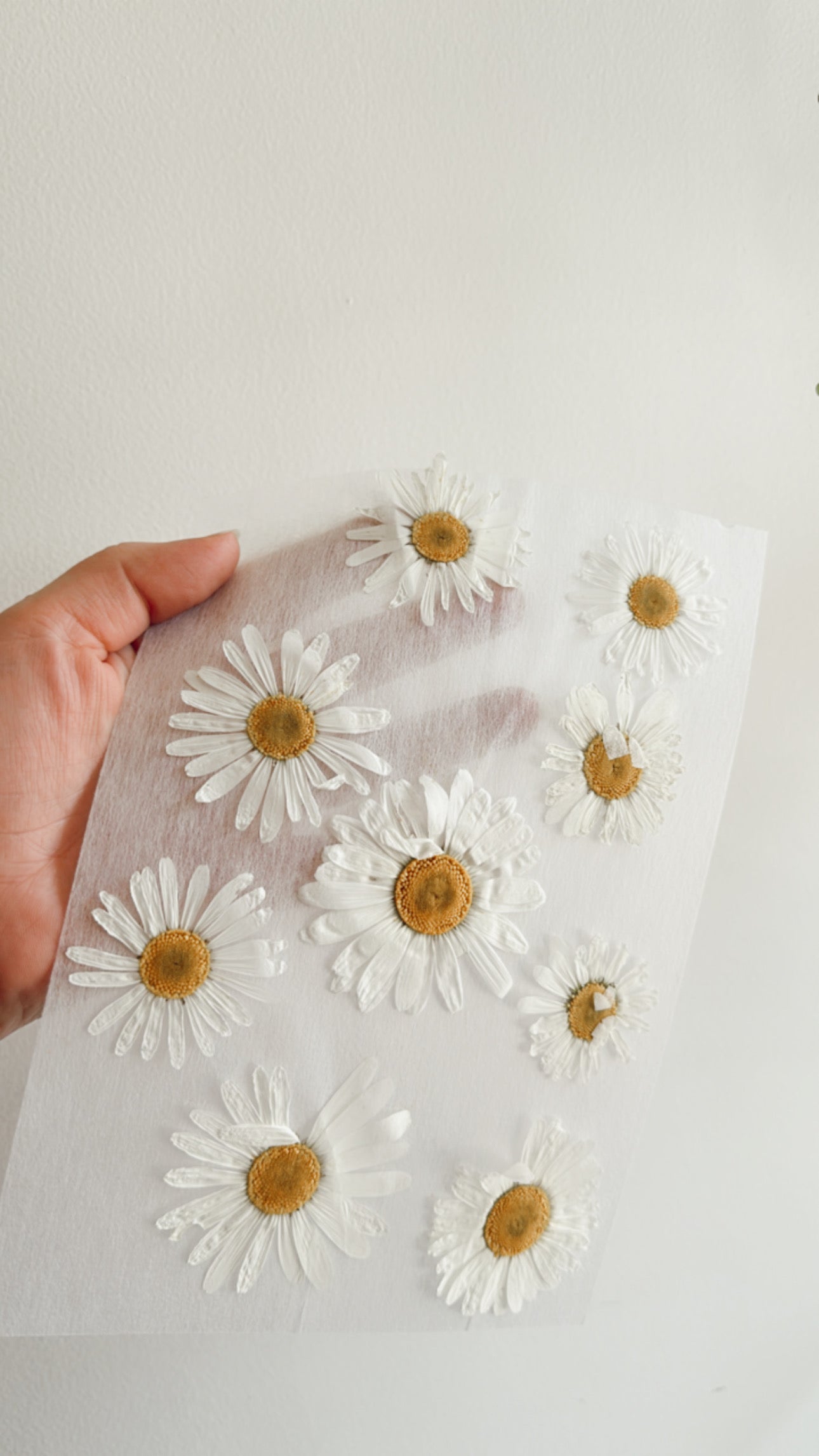 Pressed floral book marks