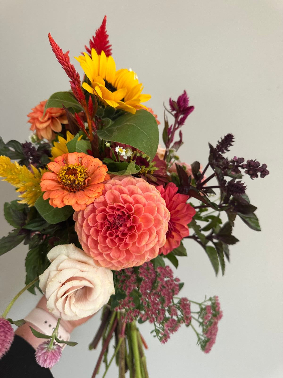 20th Ave Softer Peach- Dahlia Tuber