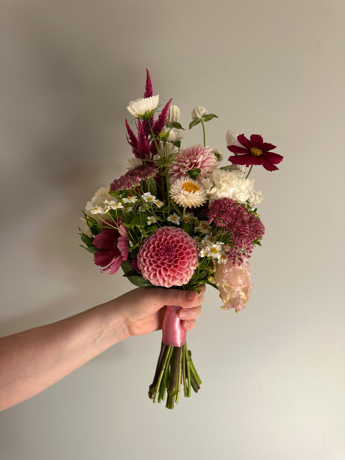 Bracken Rose- Dahlia Tuber