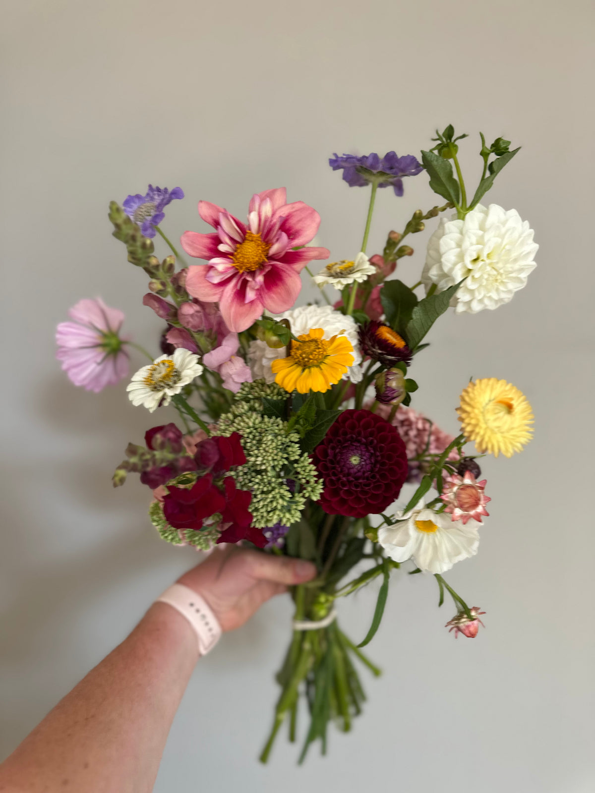 Ferncliff White- Dahlia Tuber